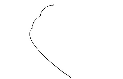 Seashell Drawing Is Made In 12 Simple Steps 2 Seashell-Drawing-1