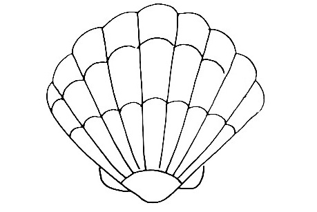 Seashell Drawing Is Made In 12 Simple Steps 11 Seashell-Drawing-10