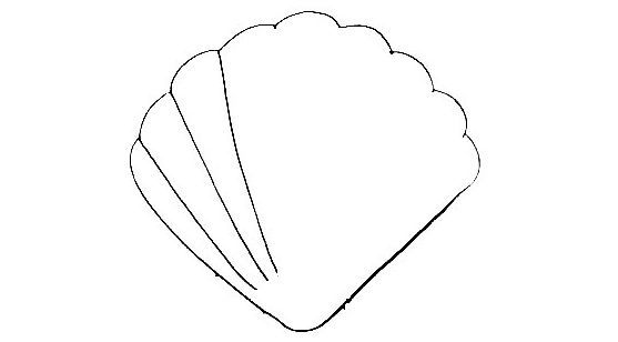 Seashell Drawing Is Made In 12 Simple Steps 5 Seashell-Drawing-4