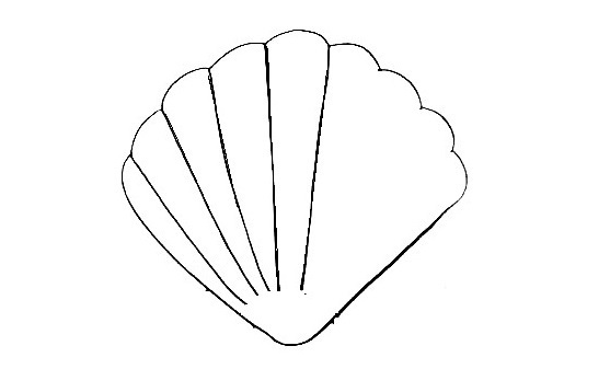 Seashell Drawing Is Made In 12 Simple Steps 6 Seashell-Drawing-5