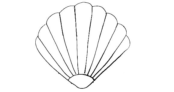 Seashell Drawing Is Made In 12 Simple Steps 8 Seashell-Drawing-7