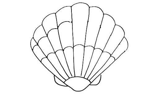 Seashell Drawing Is Made In 12 Simple Steps 10 Seashell-Drawing-9